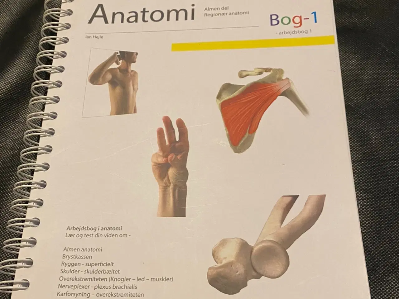Billede 1 - Anatomi -basis- Arbejsbog 1