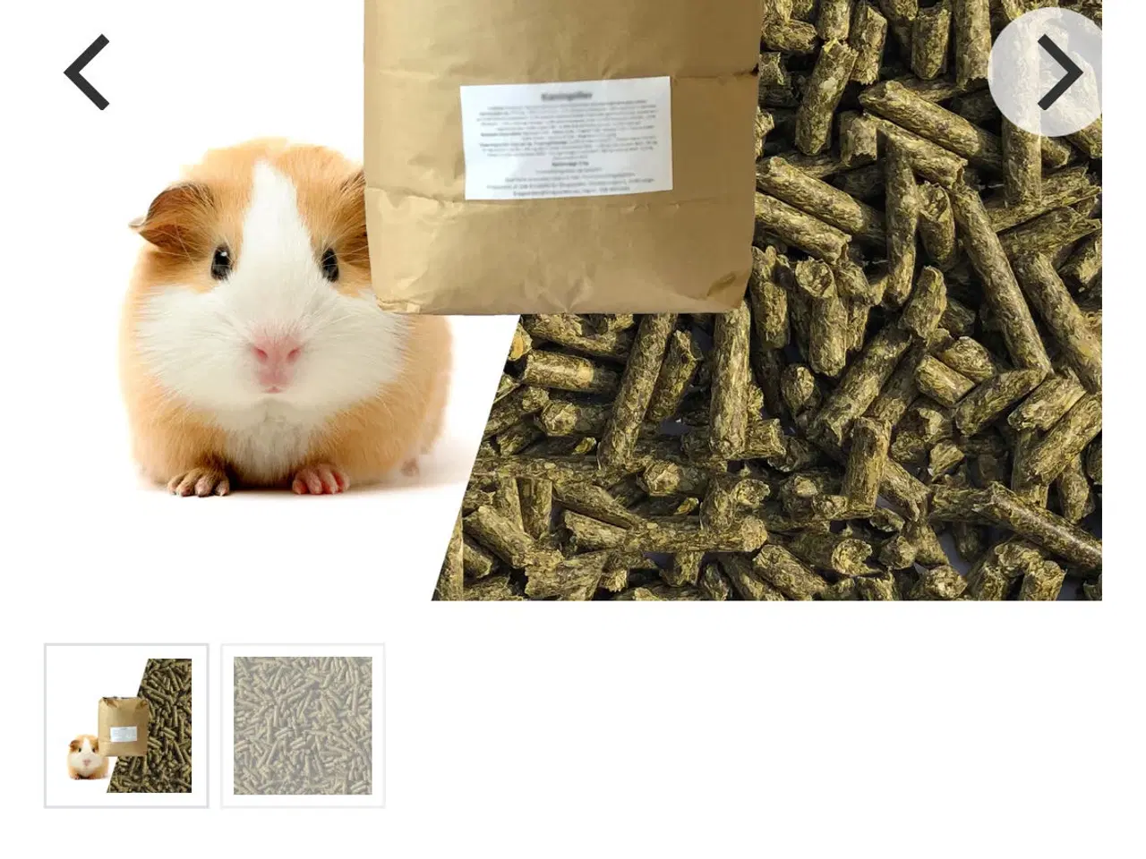 Billede 6 - Marsvin han 