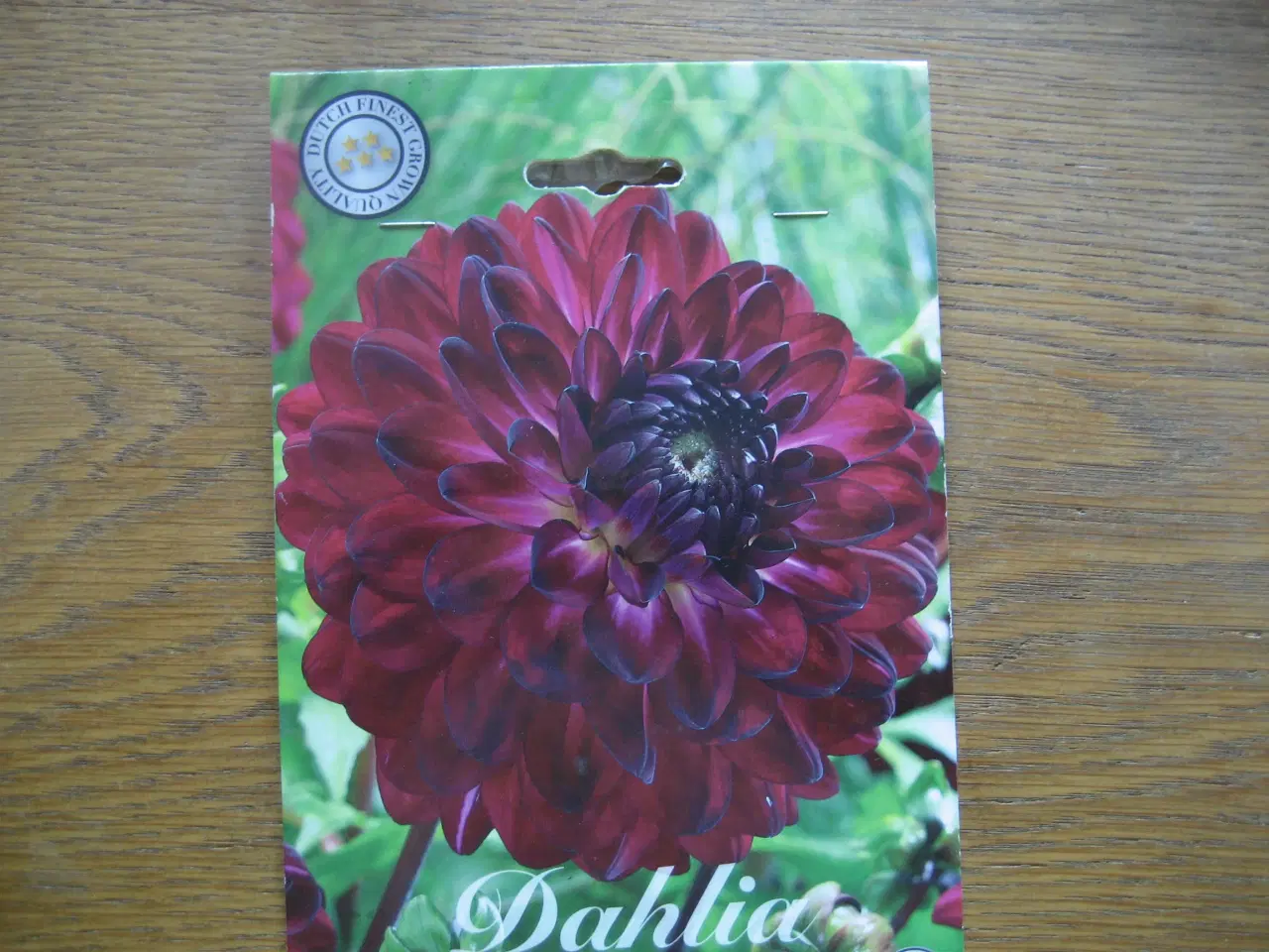Billede 2 - Georgine knolde