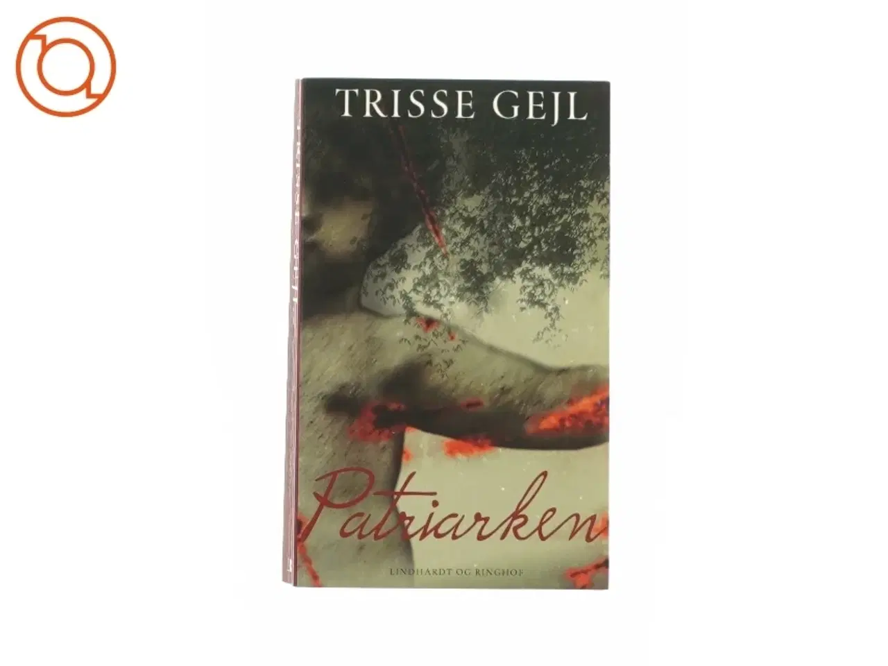 Billede 1 - Patriarken af Trisse Gejl (bog)