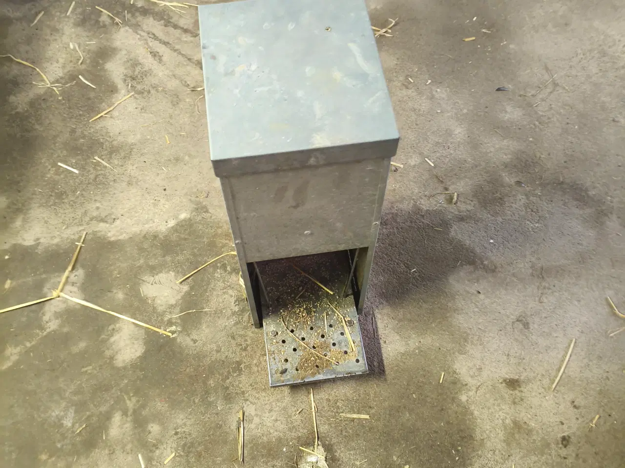 Billede 2 - Moskusænder med alt tilbehør 