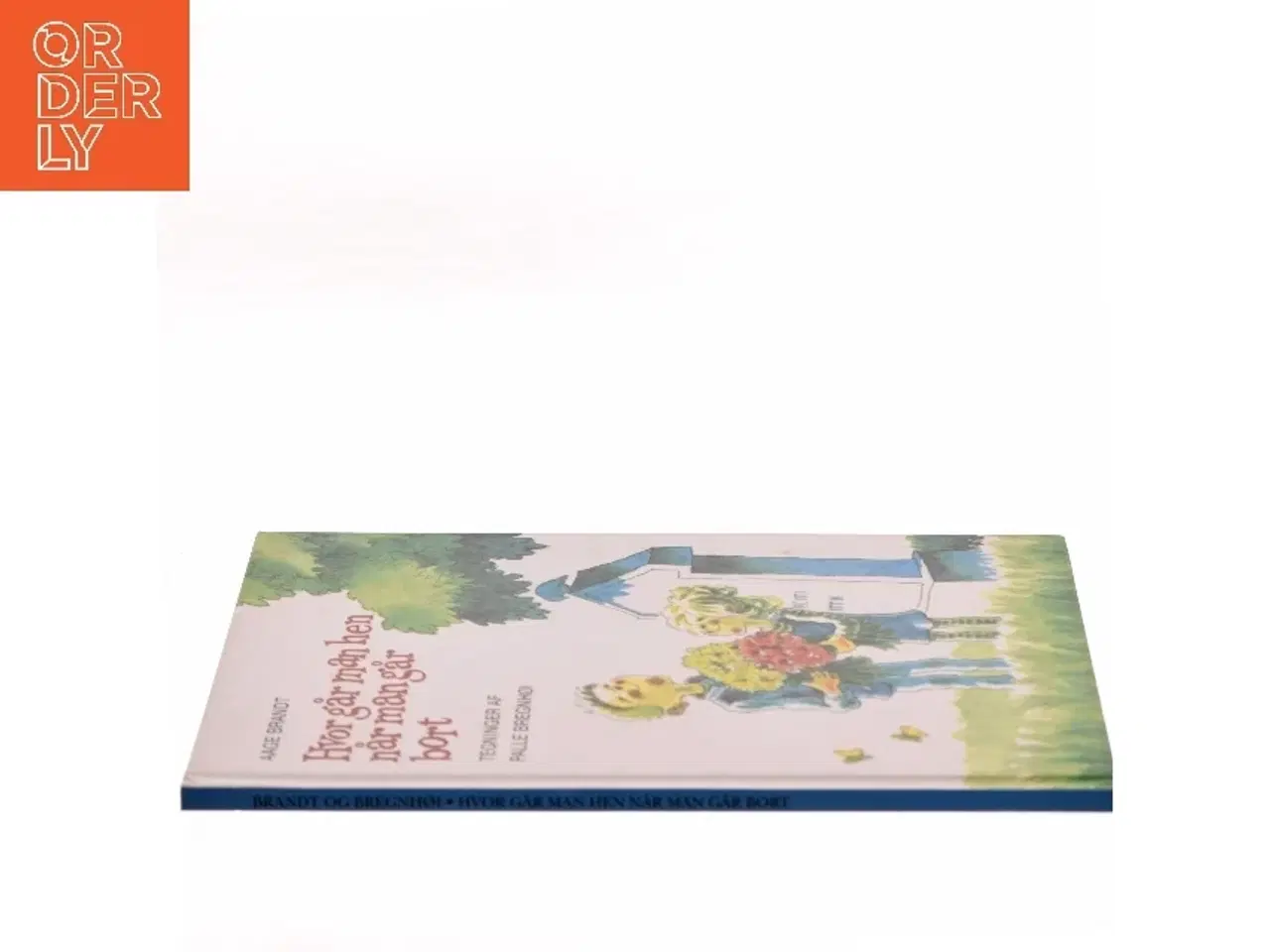 Billede 2 - Hvor går man hen når man går bort af Aage Brandt (Bog)