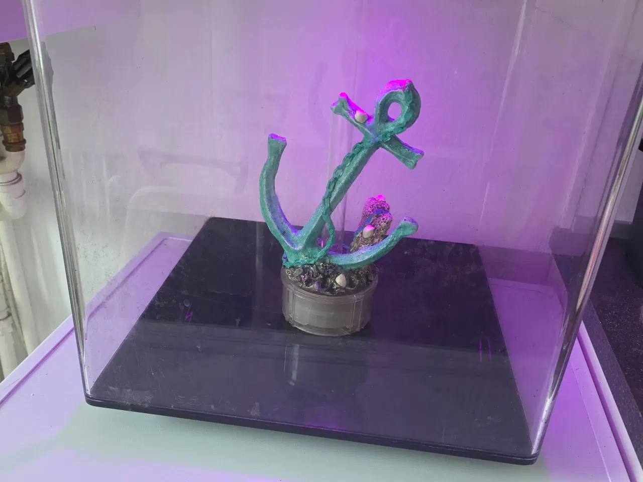 Billede 5 - BiOrb 60 udgået model