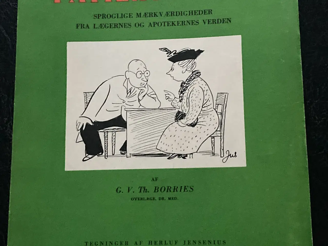 Billede 1 - Bog: Patientsprog