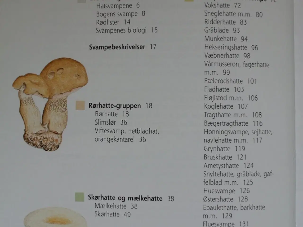 Billede 2 - svampe i farver, af henning knudsen