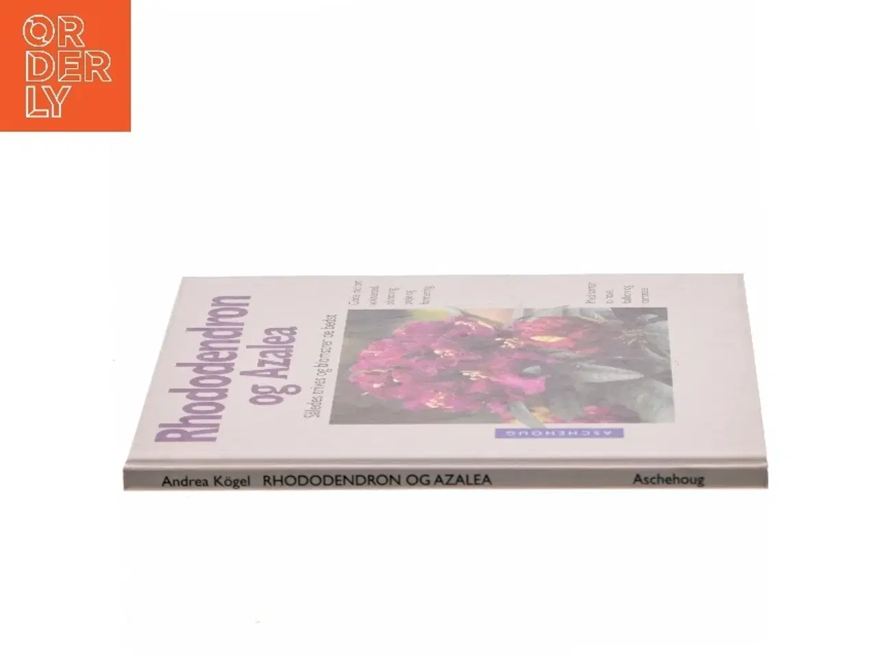 Billede 2 - Rhododendron og azalea : sådan trives og blomstrer de bedst : ekspertråd om voksesteder, plantning, pleje og formering : med sorter til have