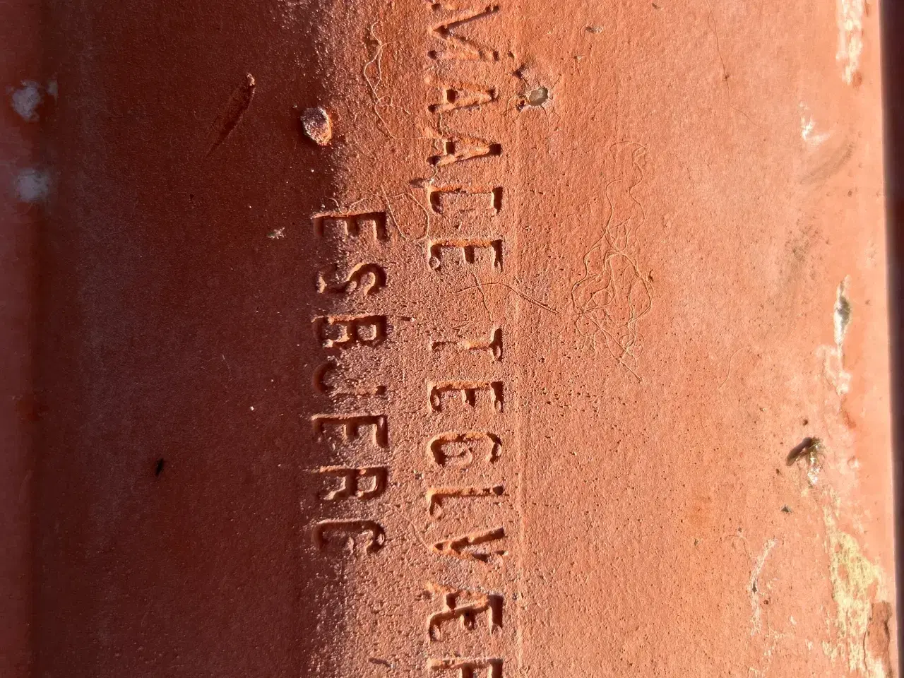 Billede 3 - Enkel vinget Tagsten