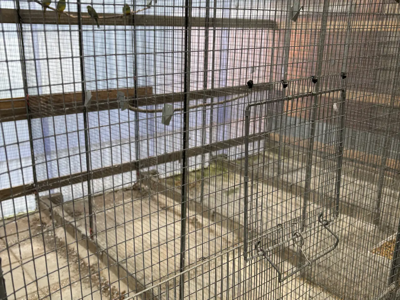 Billede 3 - Voliere rammer 