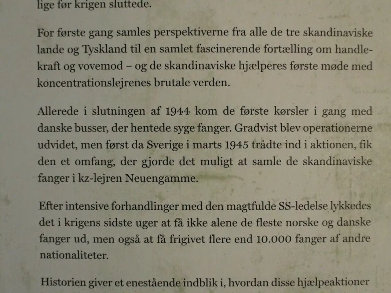 Billede 3 - redningsmænd - skandinaviske aktioner for at redde