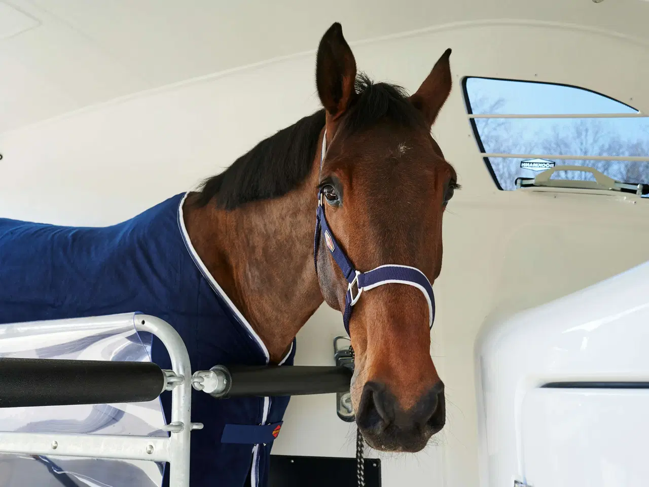 Billede 9 - Böckmann Comfort 22