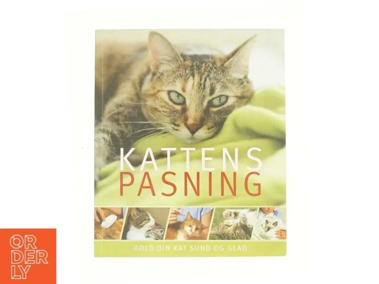 Billede 1 - Kattens pasning - Hold din kat sund og glad