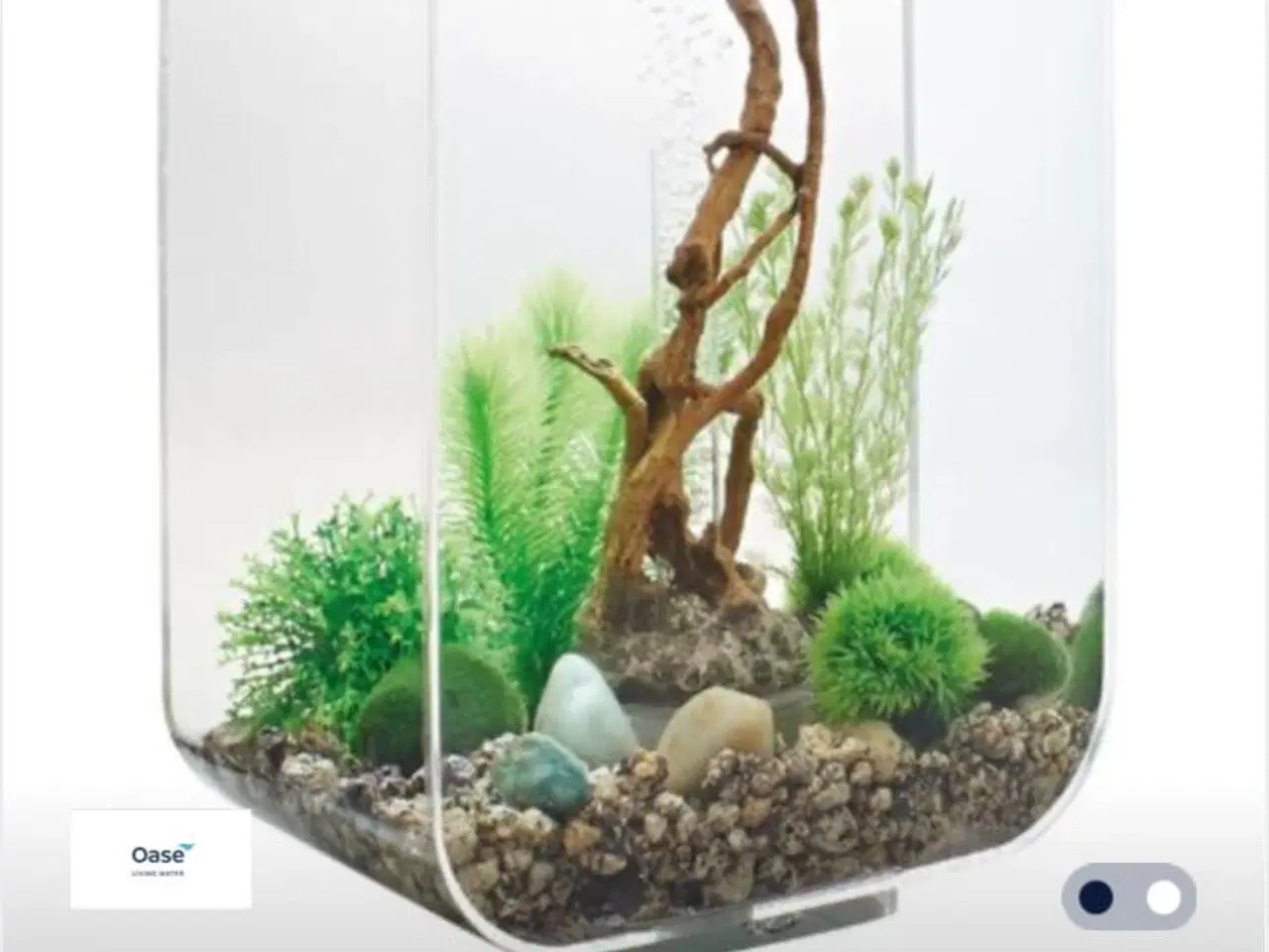 Billede 2 - Biord akvarium