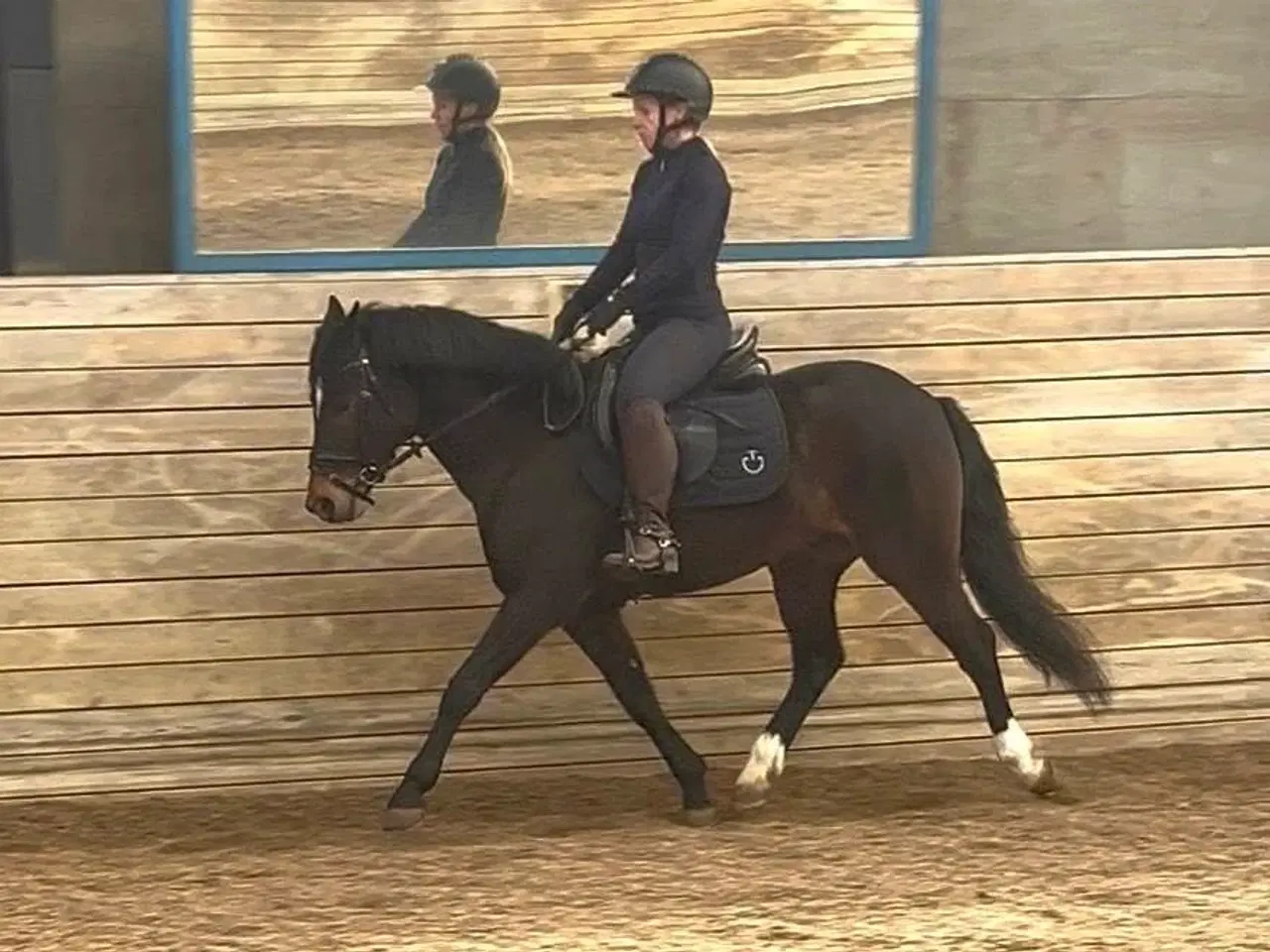Billede 9 - Allround 2’er pony søger sin nye familie 