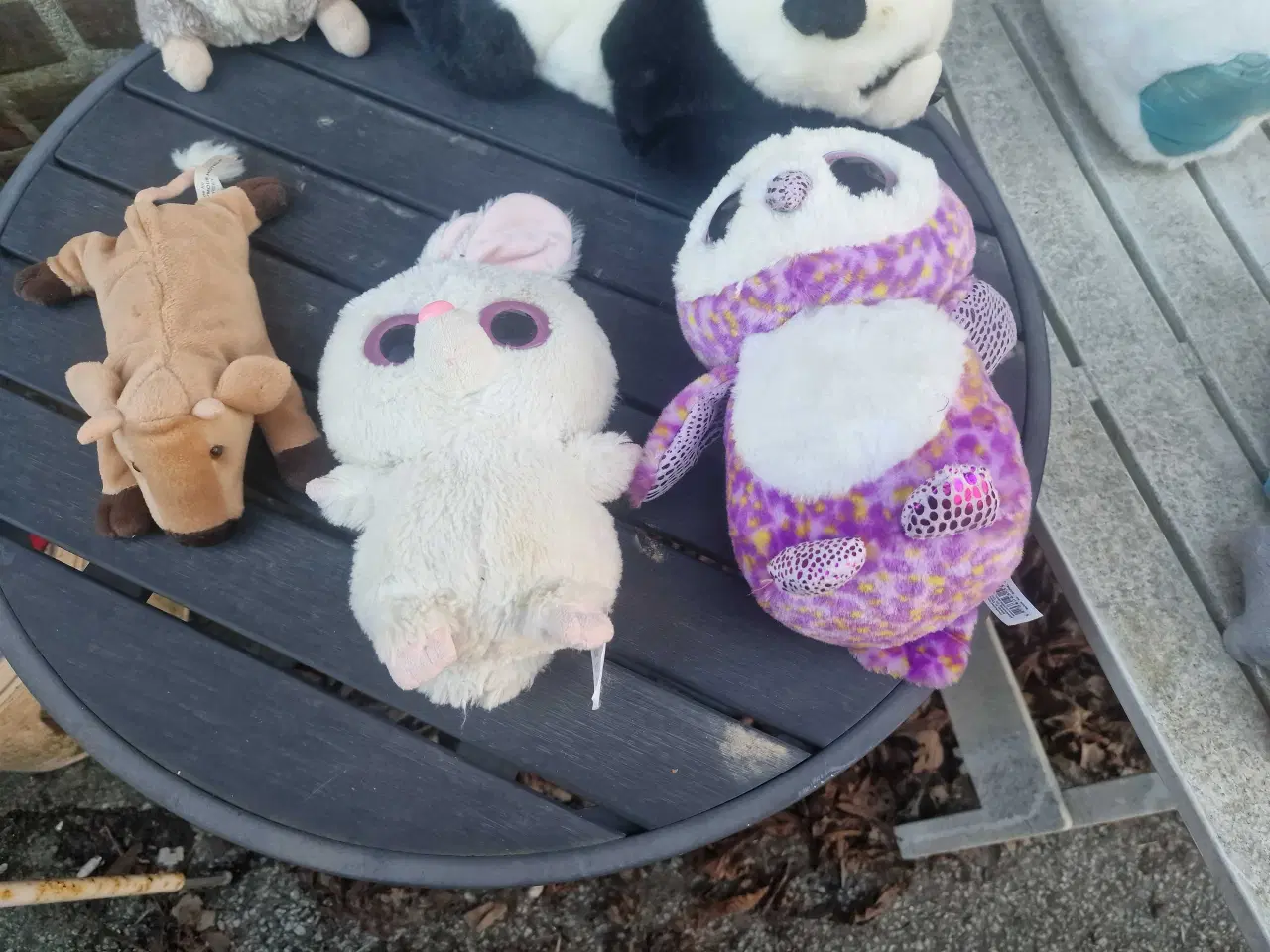 Billede 4 - Dukker 12stk