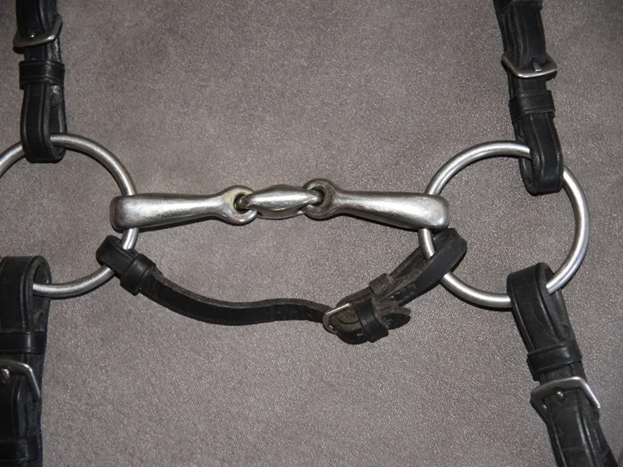 Billede 2 - Hestetøjle til pony