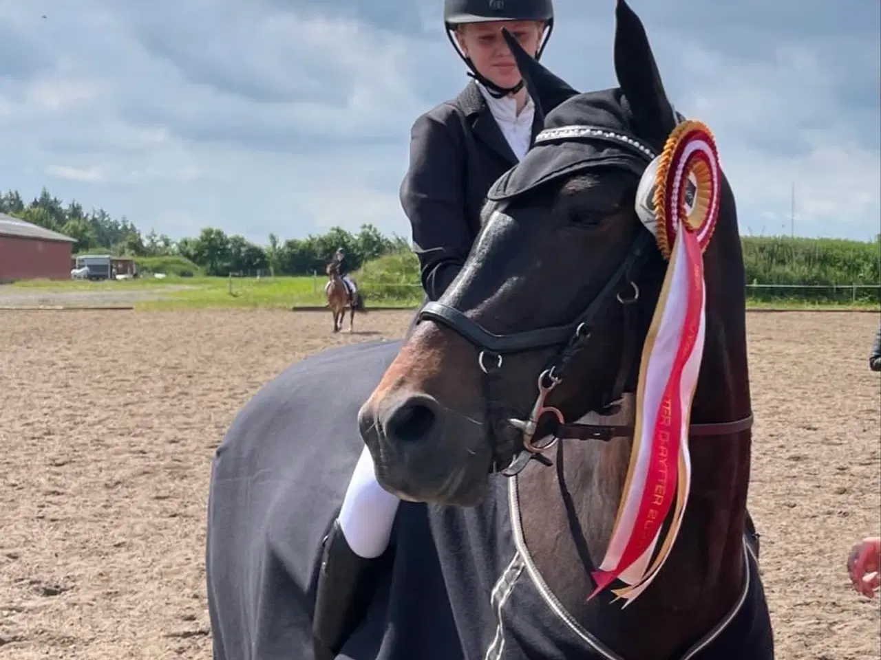 Billede 3 - Highways Luna er klar til nye udfordringer 