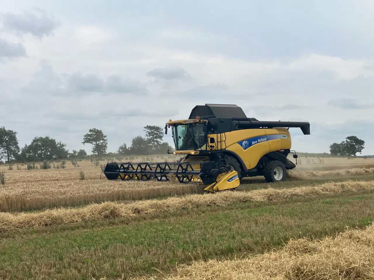 Billede 5 - Mejetærsker NH CX 880