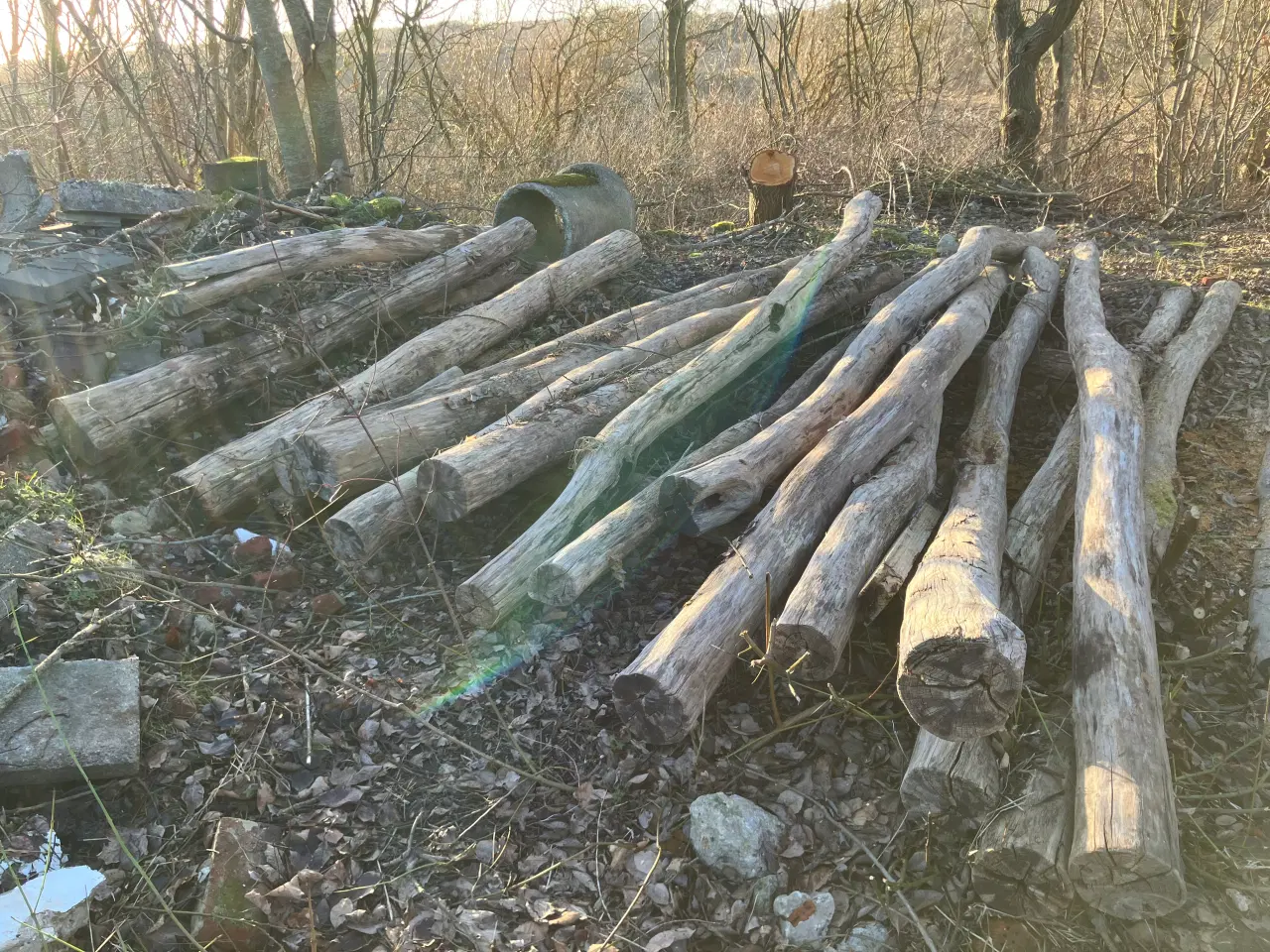 Billede 1 - Robinie tømmer 3 og 4 meter