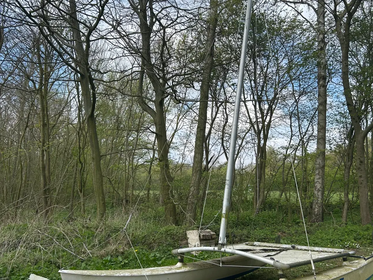 Billede 2 - Hobie Cat