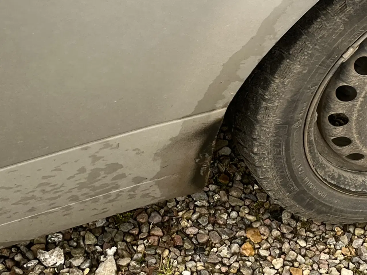 Billede 4 - Gammel Lupo 