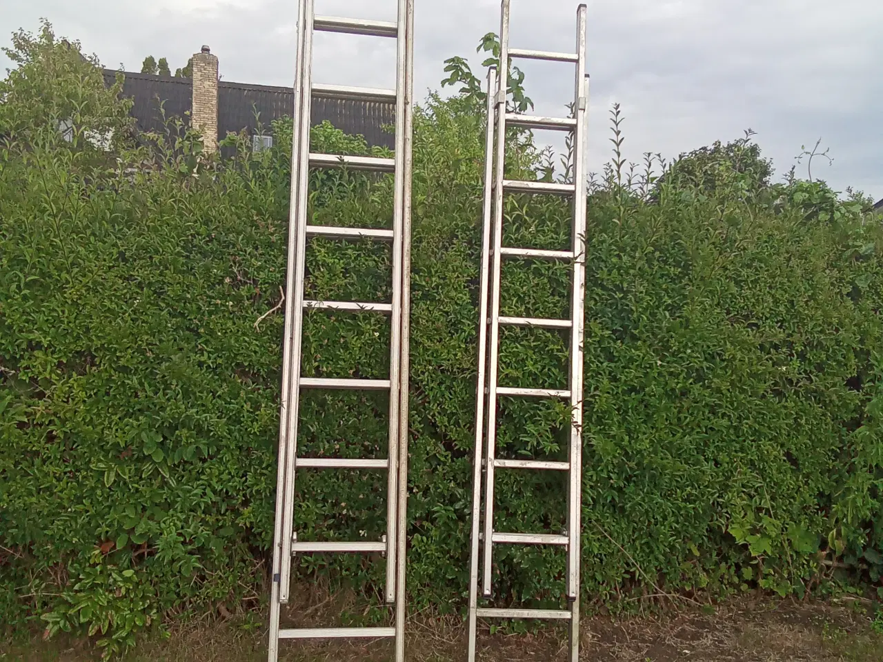 Billede 2 - Alu stiger 5  & 6 meter