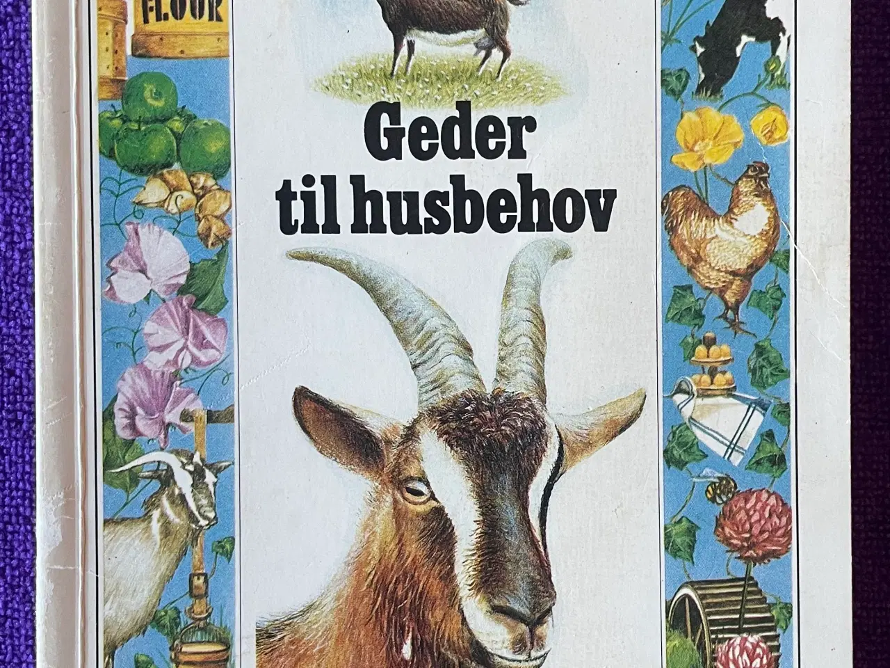 Billede 1 - Geder til husbehov