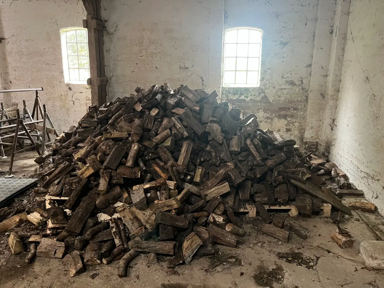 Billede 2 - Træ ca 7 meter