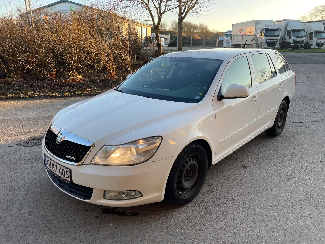 Billede 1 - Skoda Octavia Combi 1,6 TDI Greenline