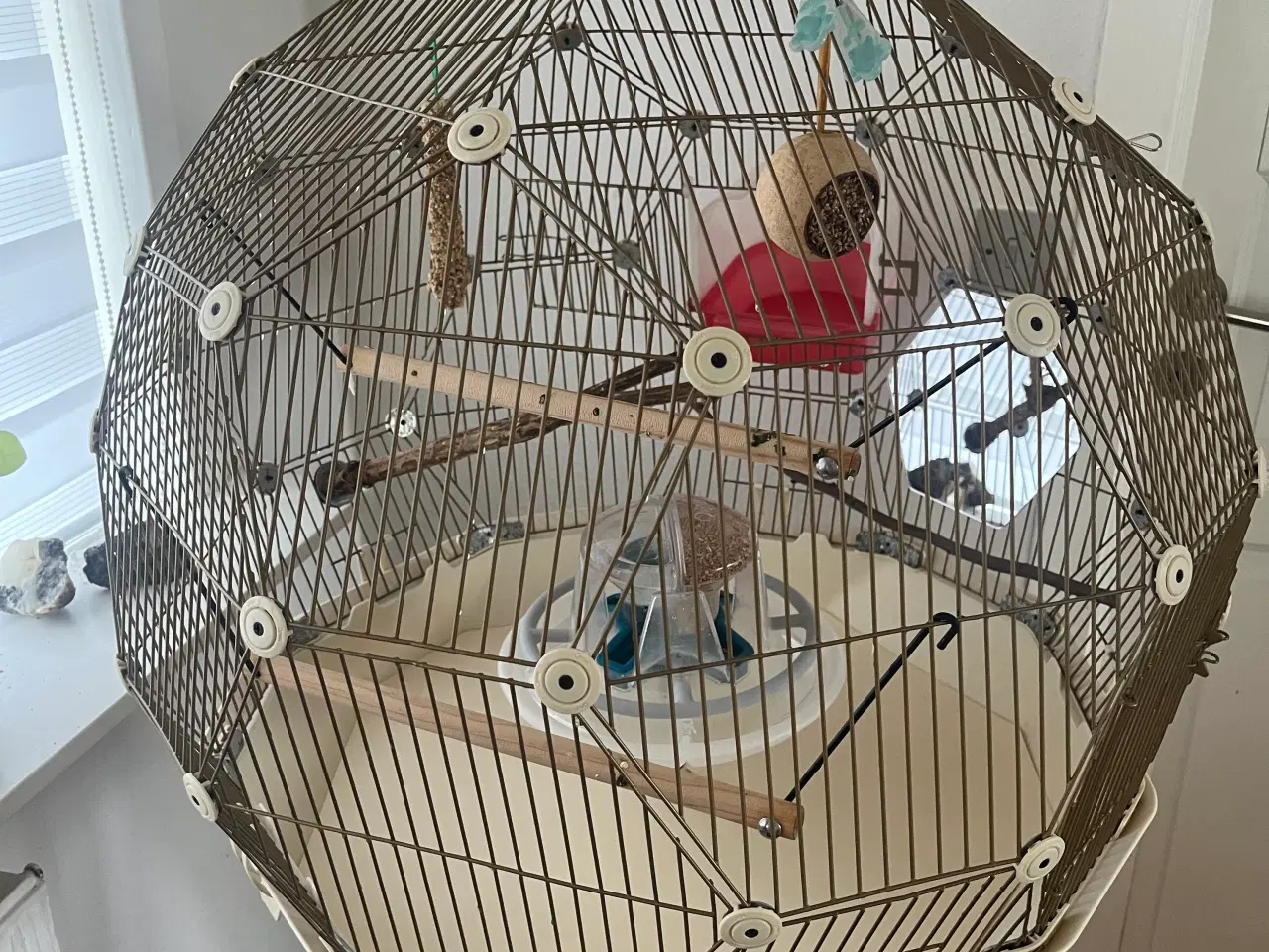 Billede 3 - Stort Geo fuglebur