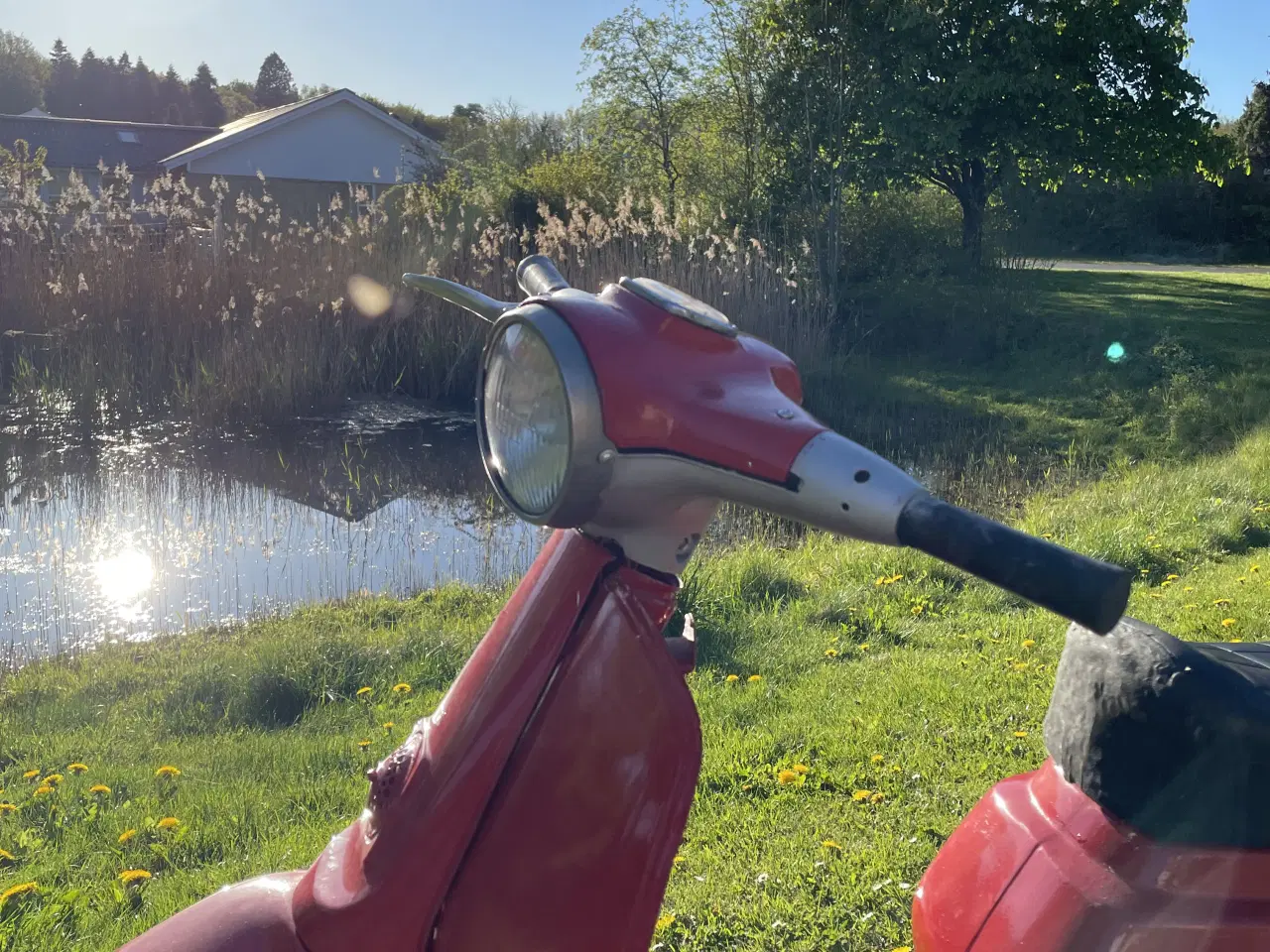 Billede 4 - Puch r50