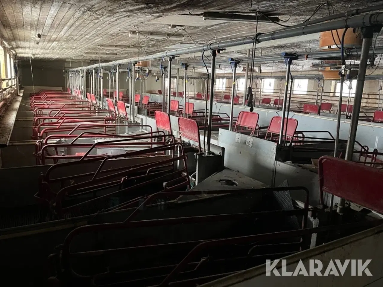 Billede 1 - Grisse stald