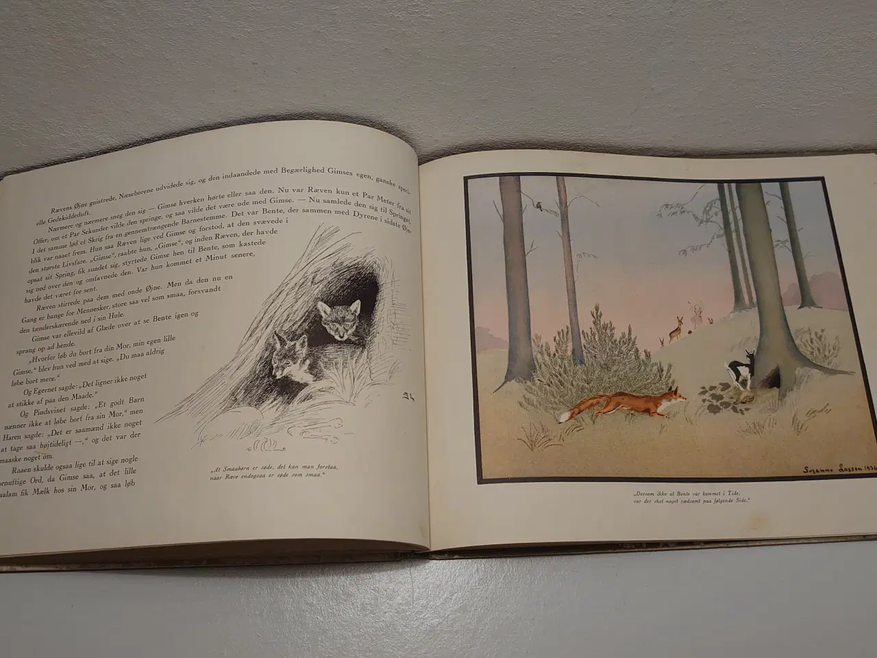 Billede 4 - Suzanne Lassen: Bente og Skovens Dyr. 1936.4 opl.