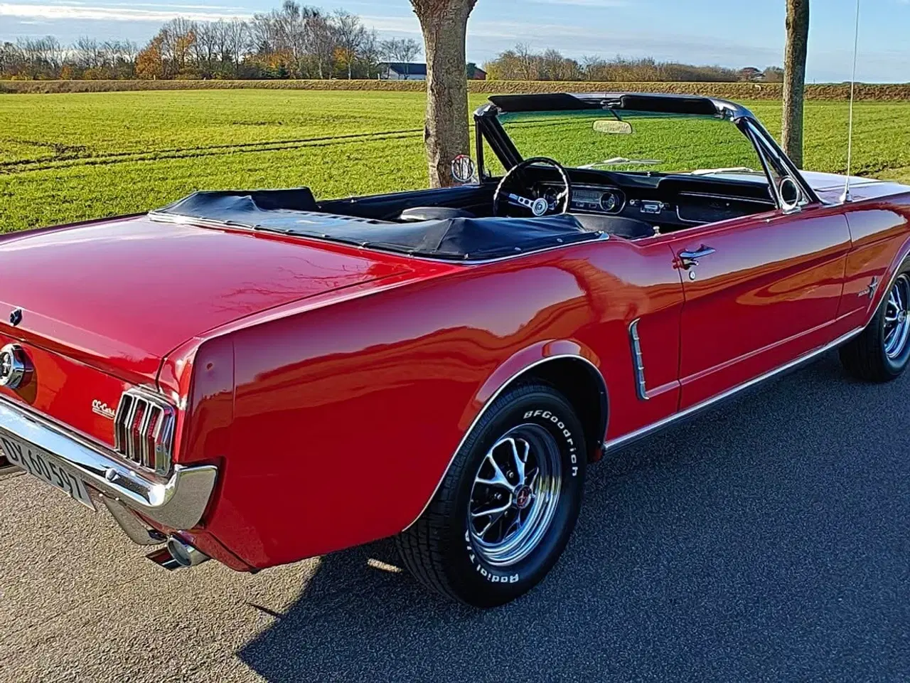 Billede 2 - FORD MUSTANG V8 4,7 CONVERTIBLE
