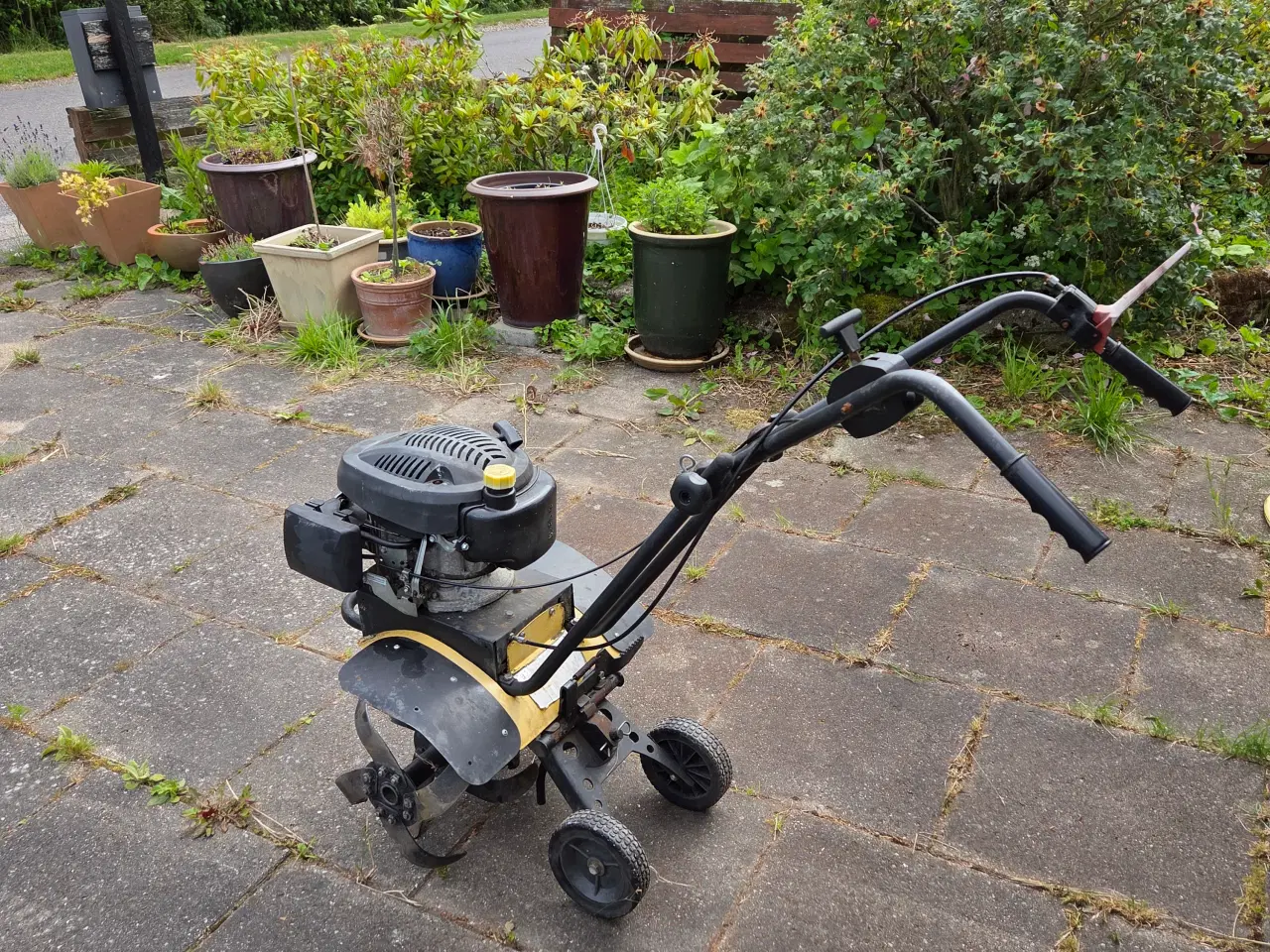 Billede 4 - Hobby 500 TG havefræser 