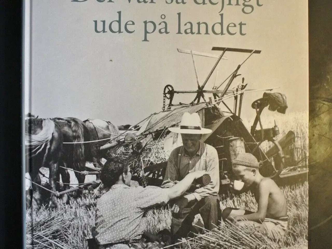 Billede 1 - der var så dejligt ude på landet, af helle juhl