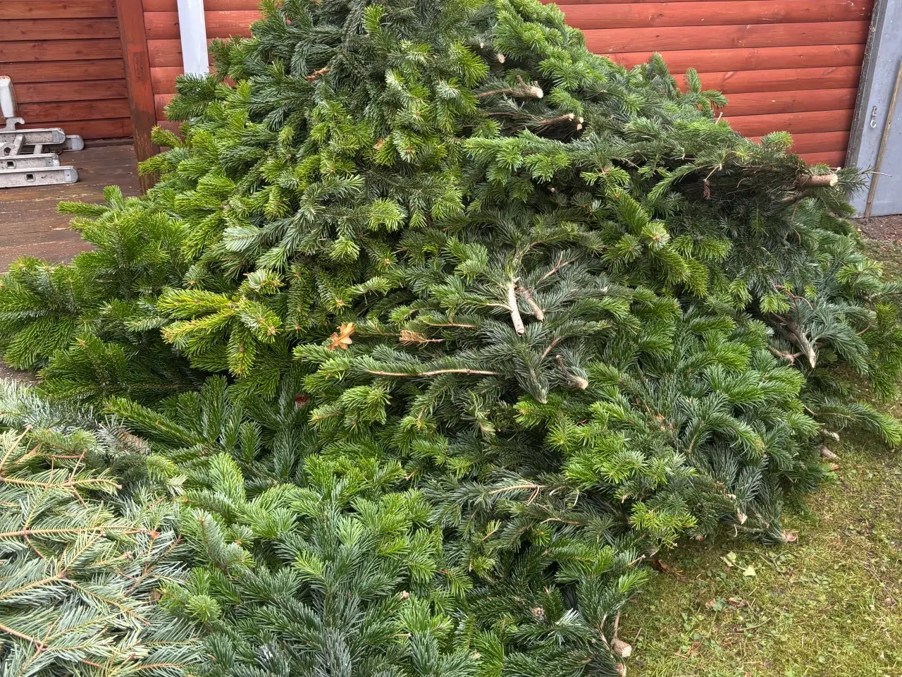 Billede 2 - Pyntegran / pyntegrønt sælges