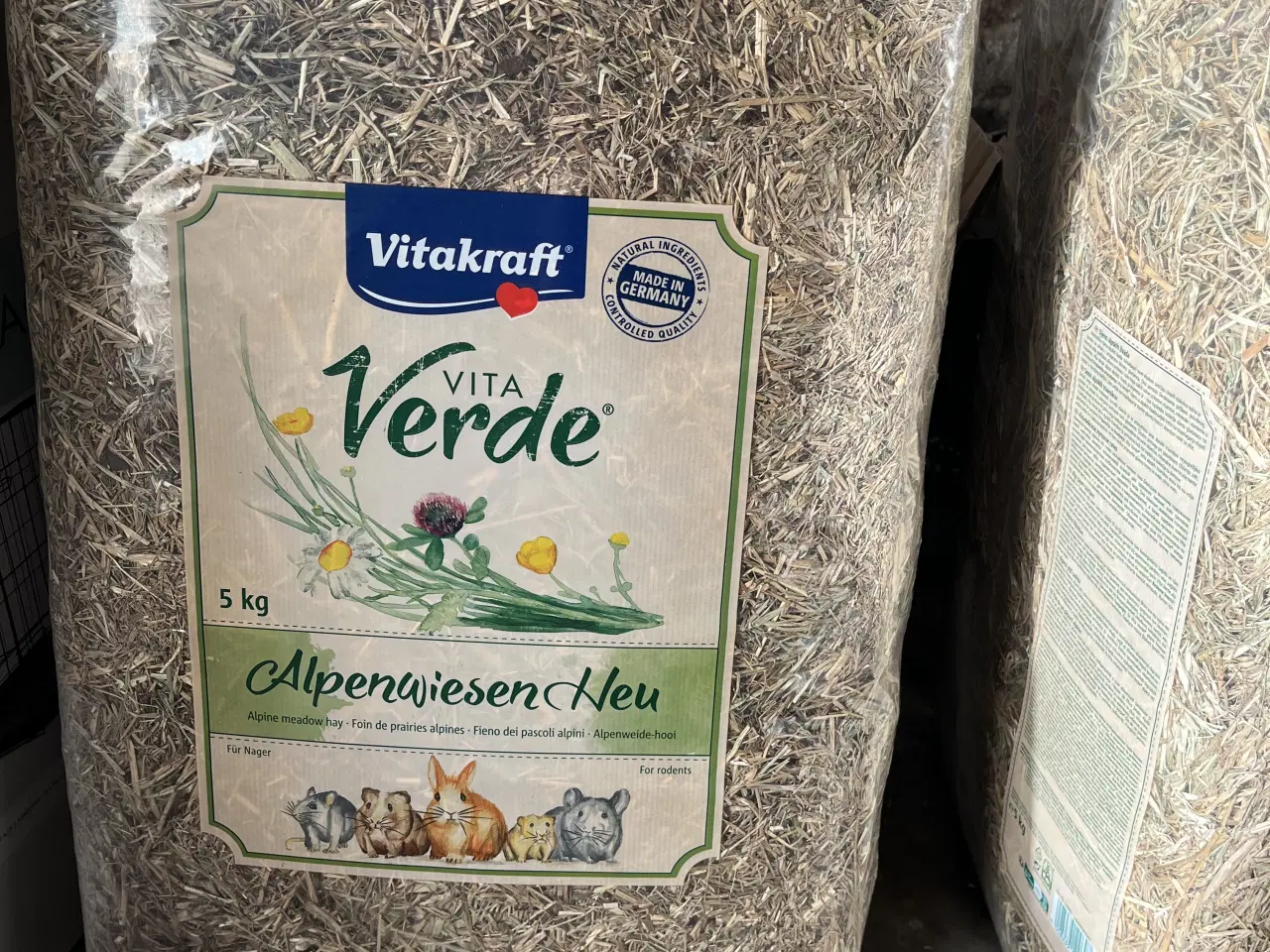 Billede 6 - Søde og håndtamme marsvin sælges 🐹