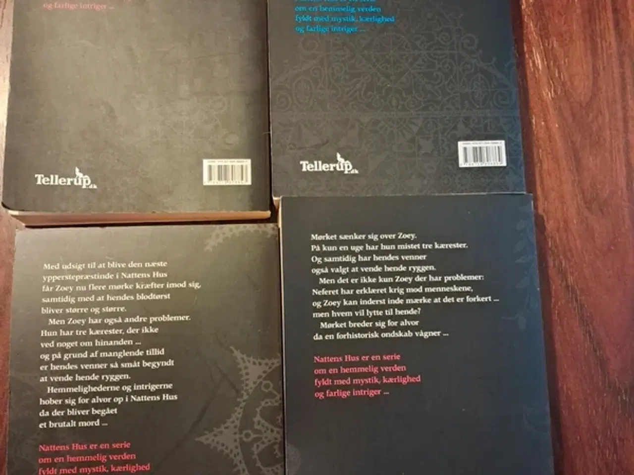 Billede 2 - Nattens Hus 1-4