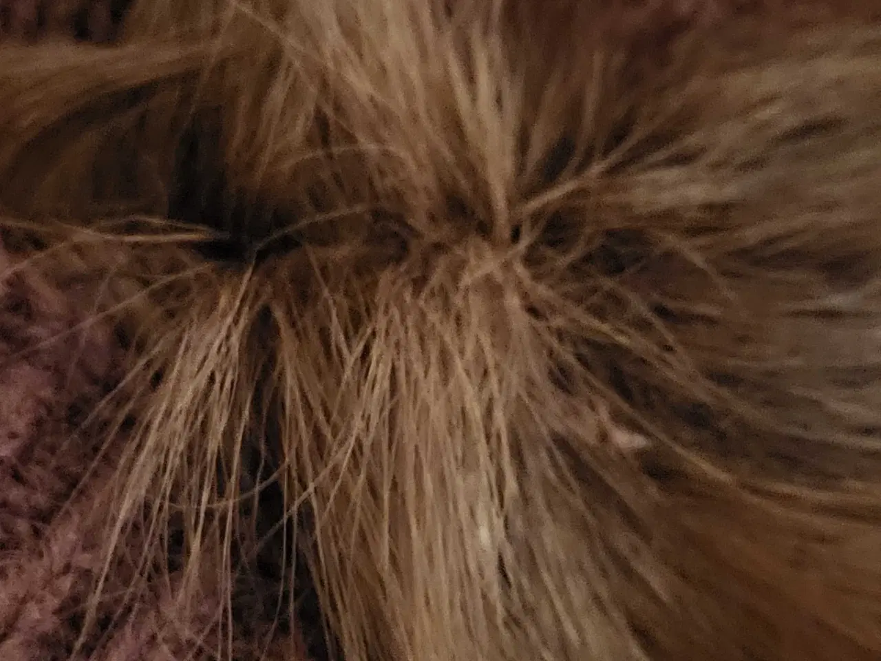 Billede 11 - Cardigan i super blødt lammeskind og uld