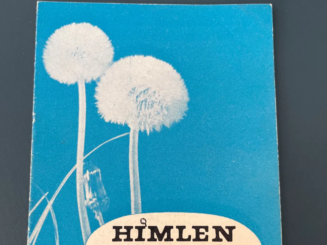 Billede 1 - Himlen er blå