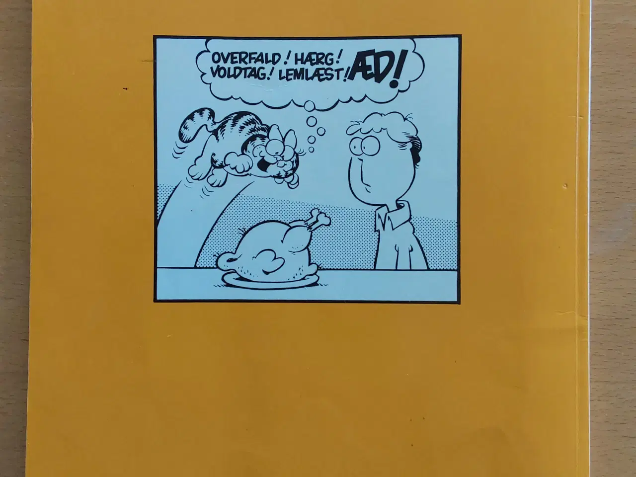 Billede 6 - Garfield i kassen og Garfield Den lede hankat 1