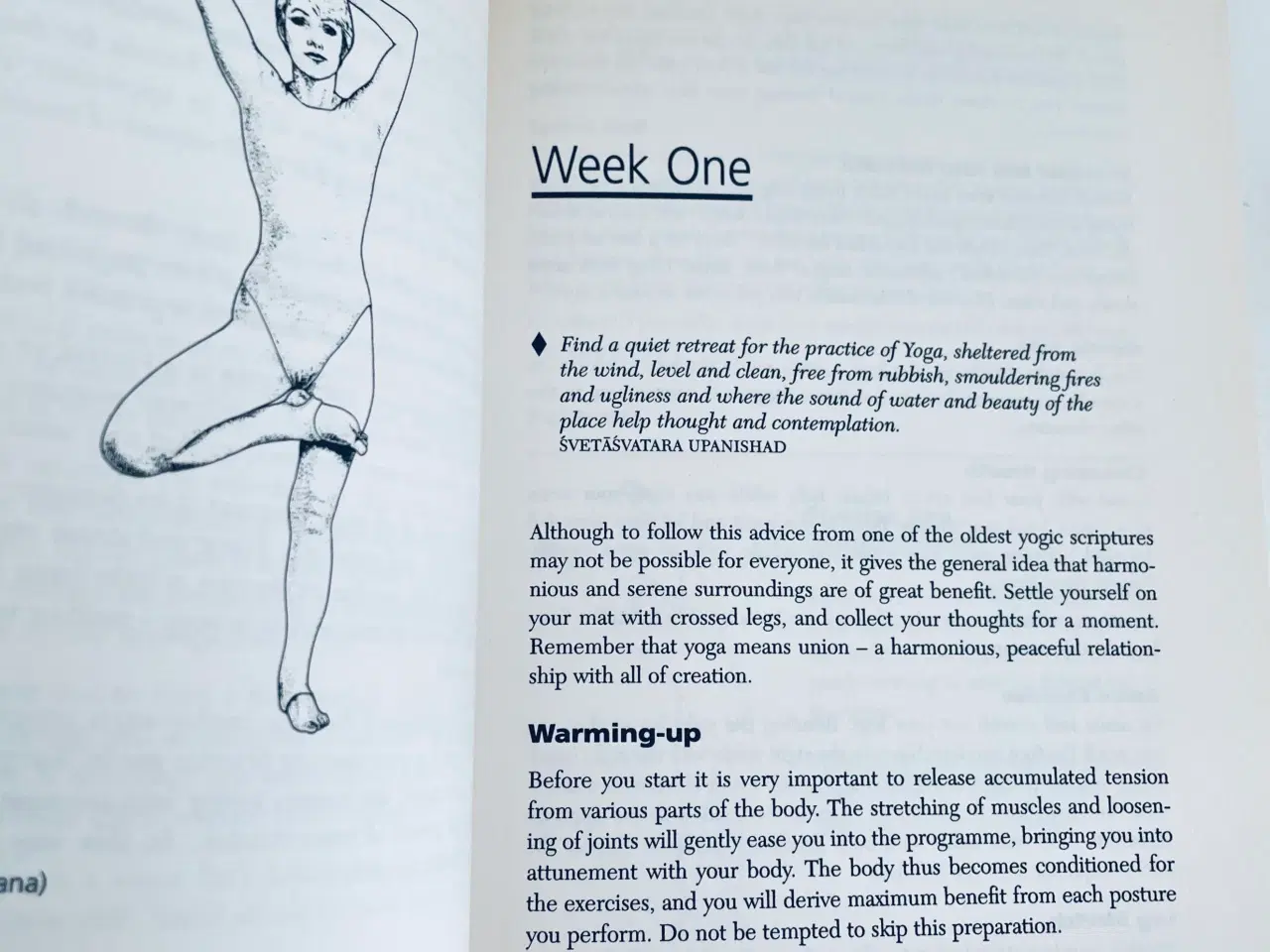 Billede 6 - Yoga a practical introduction 