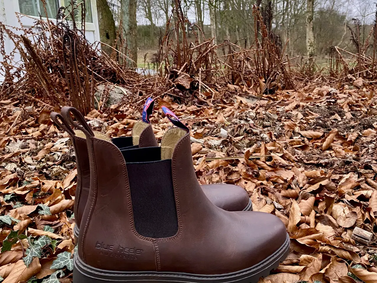 Billede 2 - BLUE HEELER JACKAROO CHELSEA LÆDERSTØVLER, UNISEX 