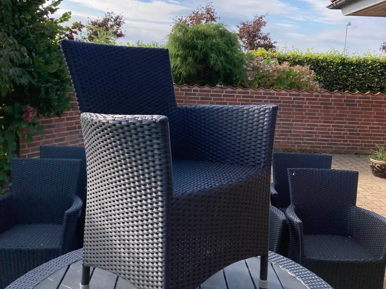Billede 3 - 🟢Havemøbelsæt Rattan Rundt Bord med 8 Stole