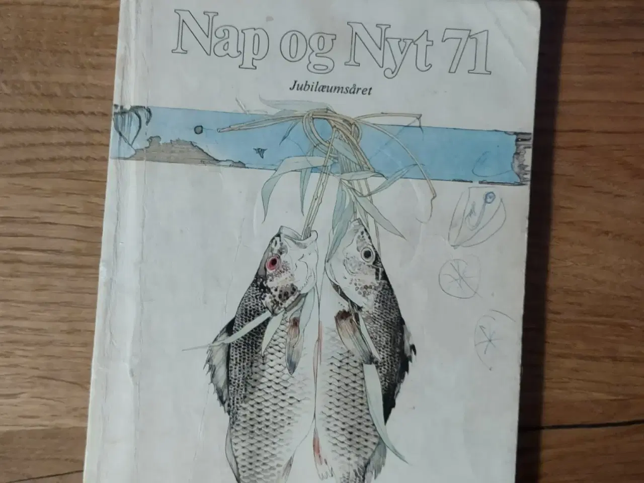 Billede 1 - Nap og Nyt 1971 – Jubilæumsåret