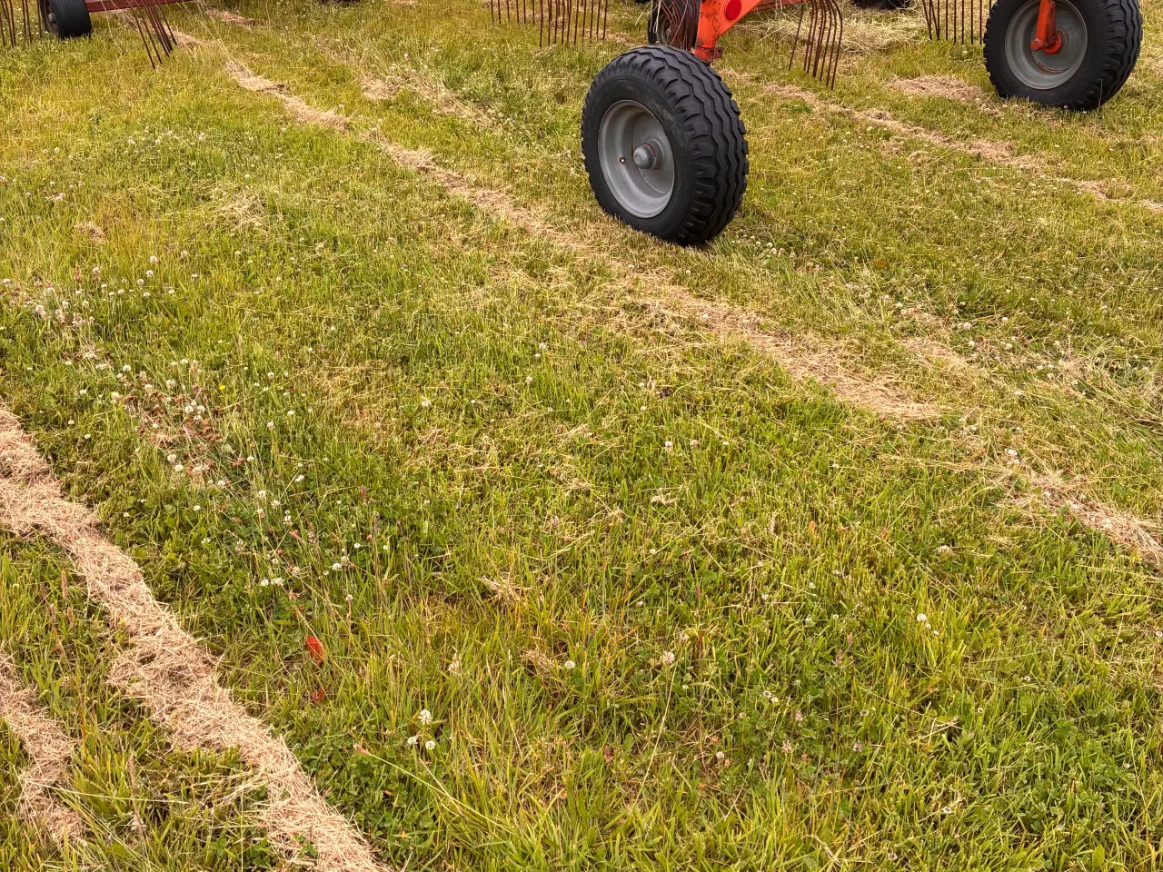 Billede 4 - Fella TS 1602