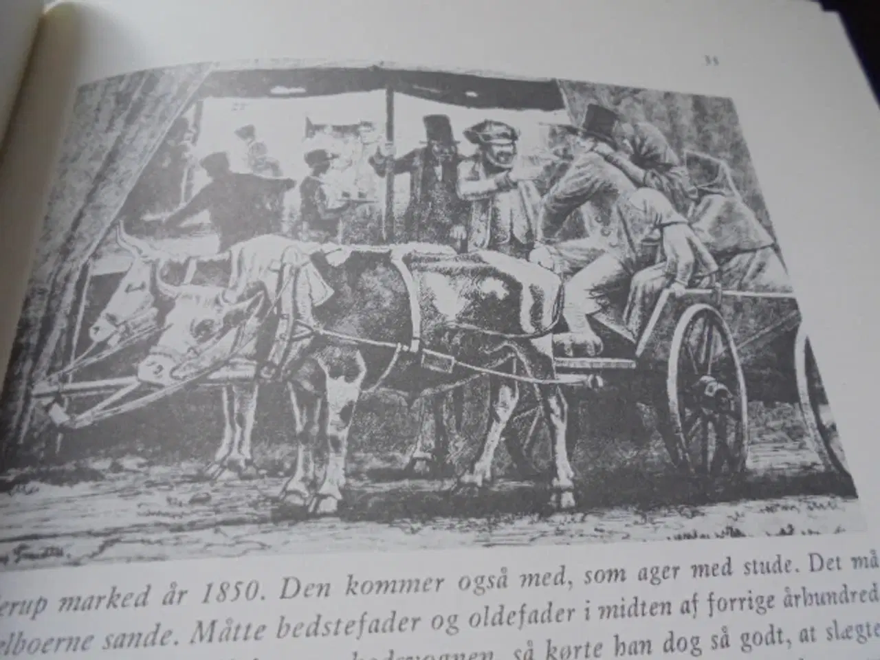 Billede 3 - Hjallerup markeds historie gennem fem århundreder