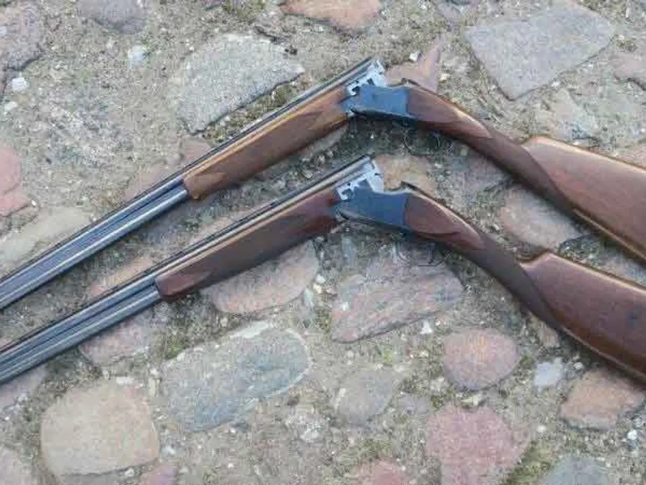 Billede 1 - Jagtvåben Købes