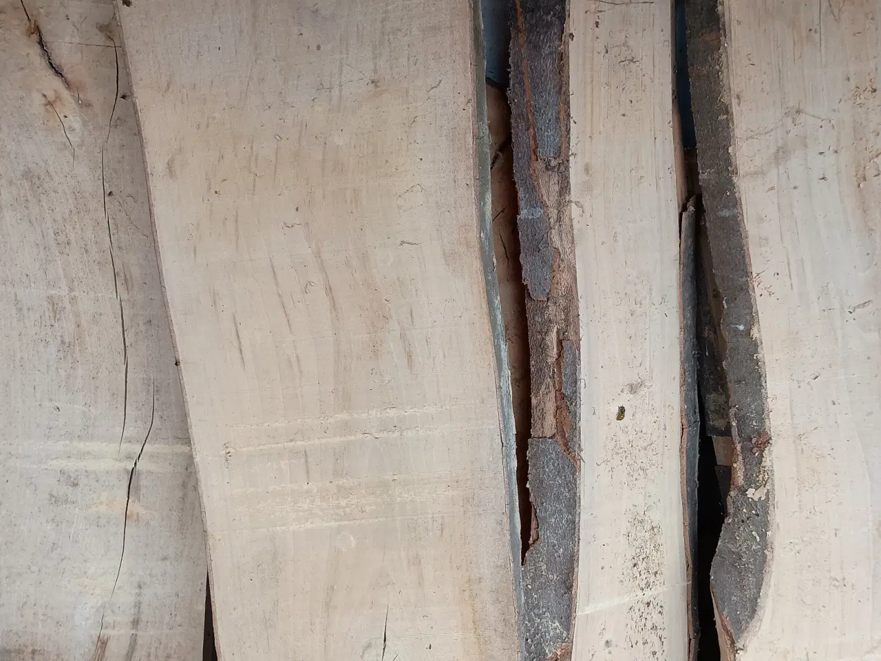 Billede 2 - Bøgetræ brædder