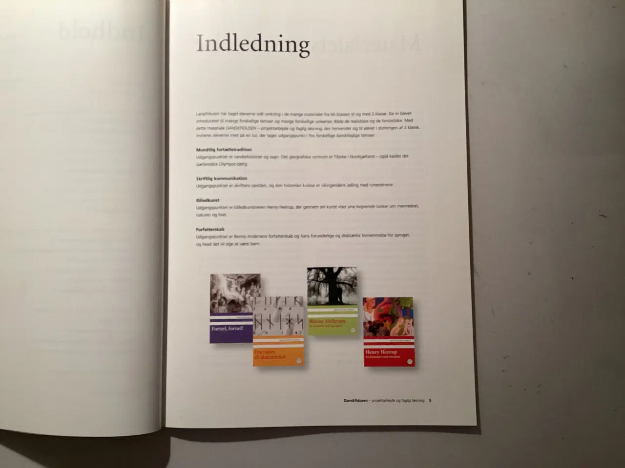 Billede 5 - Danskfidusen - projektarbejde og faglig læsning